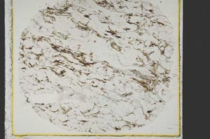 Plane Polarized, S39974