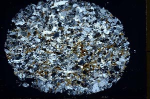 Cross Polarized, S39975