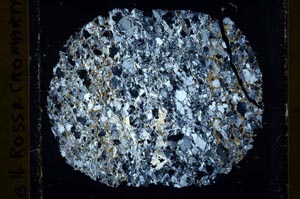 Cross Polarized, S39977