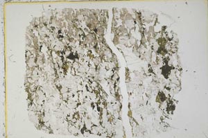 Plane Polarized, S39979