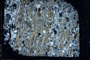 Cross Polarized, S39980