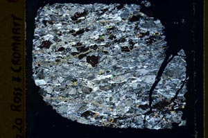 Cross Polarized, S39981