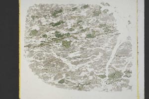 Plane Polarized, S39981