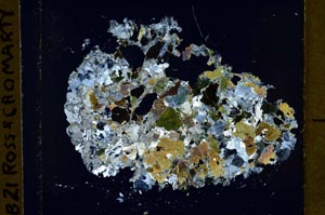 Cross Polarized, S39982