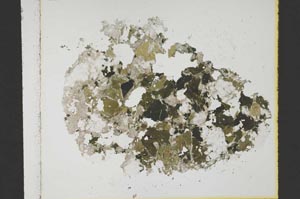 Plane Polarized, S39982