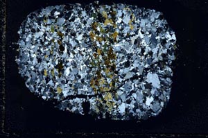 Cross Polarized, S39999