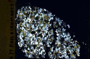 Cross Polarized, S40000