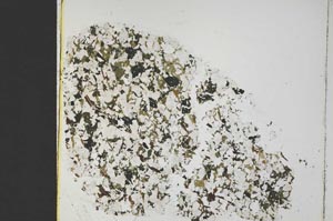 Plane Polarized, S40000