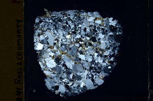 Cross Polarized, S40002