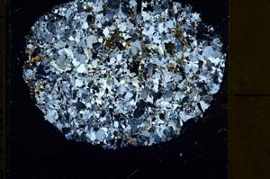 Cross Polarized, S40003