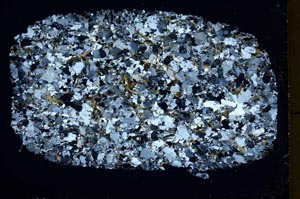 Cross Polarized, S40004