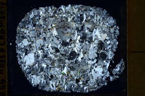 Cross Polarized, S40005