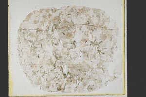 Plane Polarized, S40005