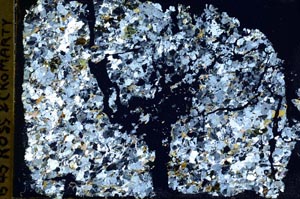 Cross Polarized, S40006