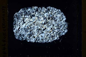 Cross Polarized, S40007