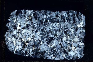 Cross Polarized, S40008