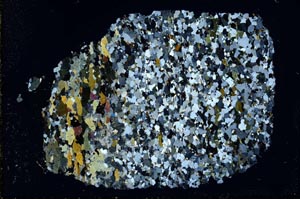 Cross Polarized, S40009