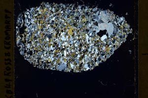 Cross Polarized, S40010