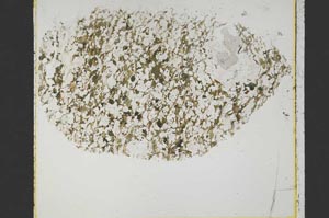 Plane Polarized, S40010