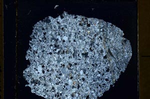 Cross Polarized, S40011