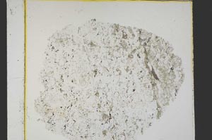 Plane Polarized, S40011