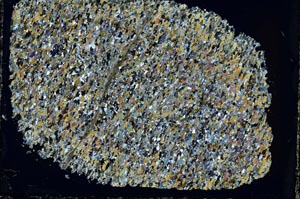 Cross Polarized, S40012