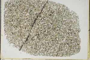 Plane Polarized, S40012