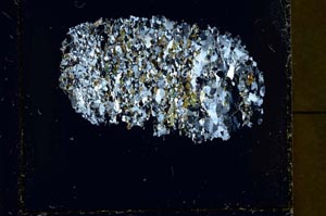 Cross Polarized, S40030