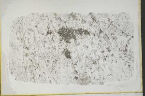 Plane Polarized, S40033