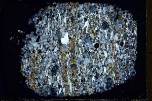 Cross Polarized, S40036