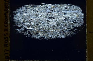 Cross Polarized, S40038