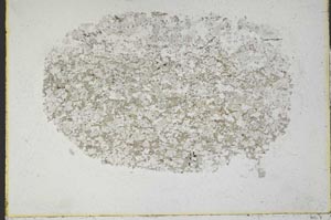 Plane Polarized, S40039