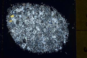 Cross Polarized, S40041