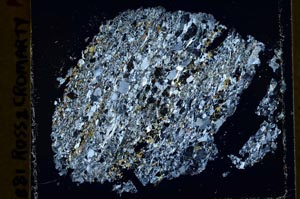 Cross Polarized, S40042