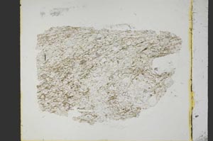 Plane Polarized, S40043