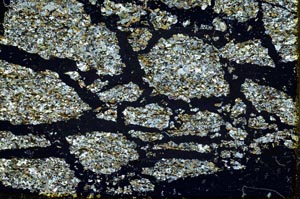 Cross Polarized, S40054