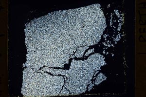 Cross Polarized, S40081