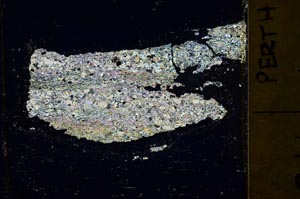 Cross Polarized, S40082