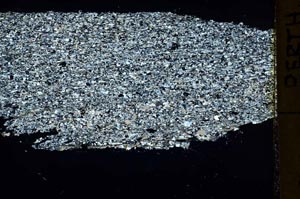 Cross Polarized, S40083