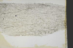 Plane Polarized, S40083