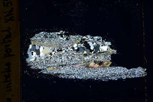 Cross Polarized, S40084