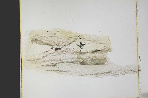 Plane Polarized, S40084