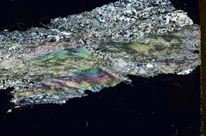 Cross Polarized, S40085