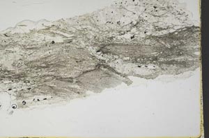 Plane Polarized, S40085