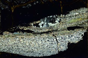 Cross Polarized, S40087