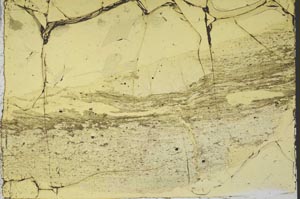 Plane Polarized, S40087