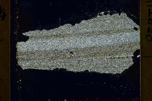 Cross Polarized, S40088