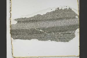 Plane Polarized, S40088