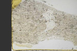 Plane Polarized, S40089