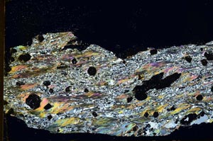 Cross Polarized, S40090